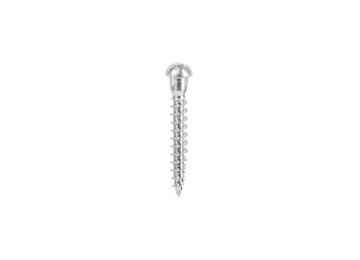 SCREW FOR WOODWORK FITTINGS