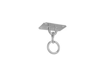 Ceiling swivel lug