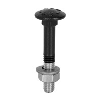 SD Carriage bolt